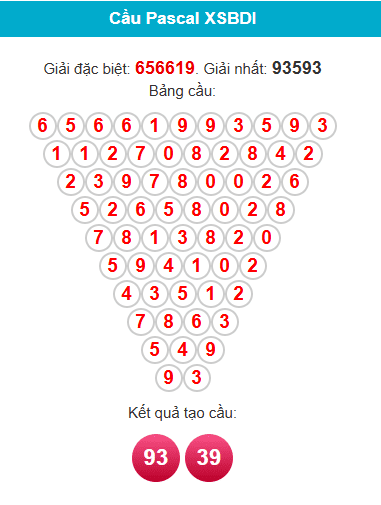 pascal-binh-dinh-ngay-20-11 pascal-binh-dinh-ngay-20-11