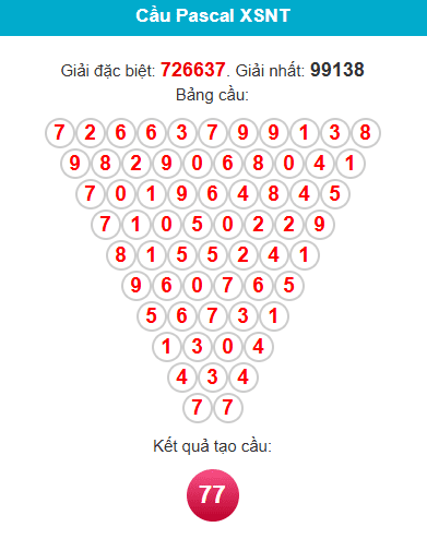 pascal-ninh-thuan-ngay-28-11