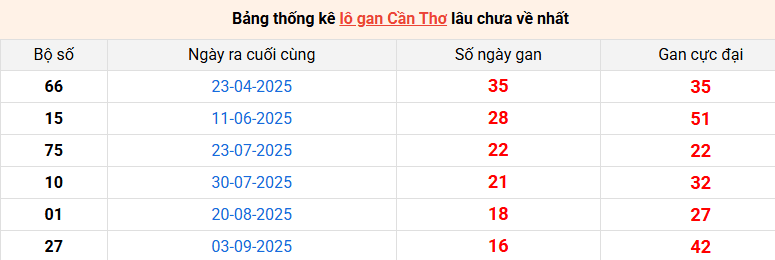 lo-gan-can-tho-ngay-31-12