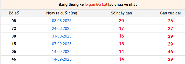 lo-gan-da-lat-ngay-28-12