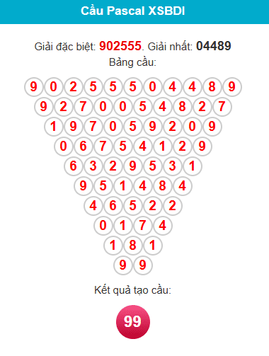 pascal-binh-dinh-ngay-01-01 pascal-binh-dinh-ngay-01-01