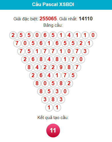 pascal-binh-dinh-ngay-11-12