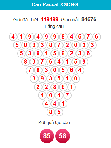 pascal-da-nang-ngay-10-12 pascal-da-nang-ngay-10-12