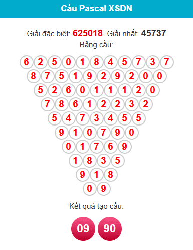 pascal-dong-nai-ngay-03-12