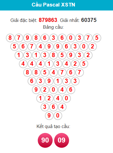 pascal-tay-ninh-ngay-01-01