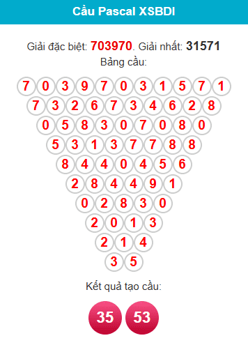 pascal-binh-dinh-ngay-29-1