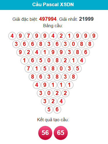 pascal-dong-nai-ngay-28-1 pascal-dong-nai-ngay-28-1