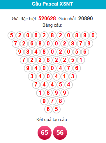 pascal-ninh-thuan-ngay-02-01