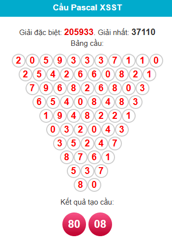 pascal-soc-trang-ngay-14-1