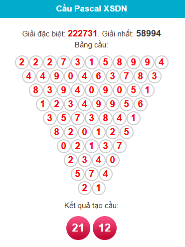 pascal-dong-nai-ngay-04-3