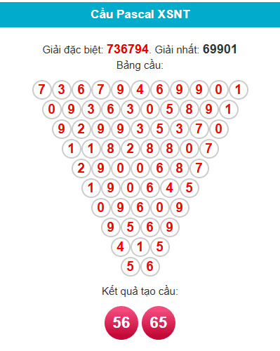 pascal-ninh-thuan-ngay-13-3