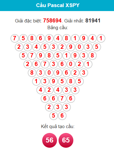 pascal-phu-yen-ngay-9-3 pascal-phu-yen-ngay-9-3