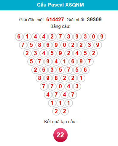 pascal-quang-nam-ngay-31-3 pascal-quang-nam-ngay-31-3