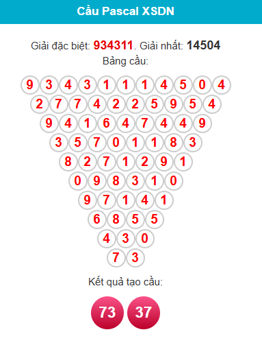pascal-dong-nai-ngay-13-5