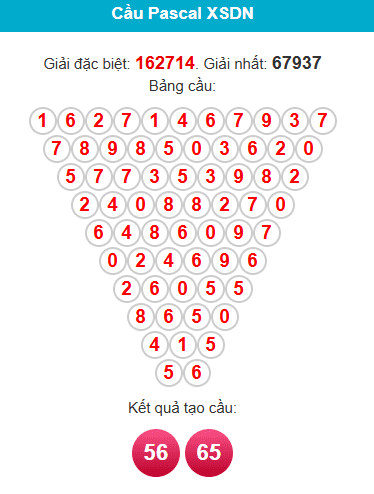 pascal-dong-nai-ngay-1-7