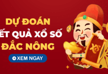 Soi cầu XSDNO 25/10/2025 – Soi cầu xổ số Đắk Nông ngày 25/10/2025