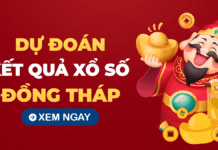 Soi cầu XSDT 27/10/2025 – Soi cầu xổ số Đồng Tháp ngày 27/10/2025