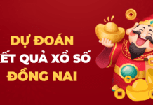 Soi cầu XSDN 29/10/2025 – Soi cầu xổ số Đồng Nai ngày 29/10/2025