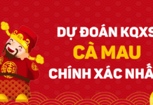 Soi cầu XSCM 03/08/2026 – Soi cầu xổ số Cà Mau ngày 03/08/2026